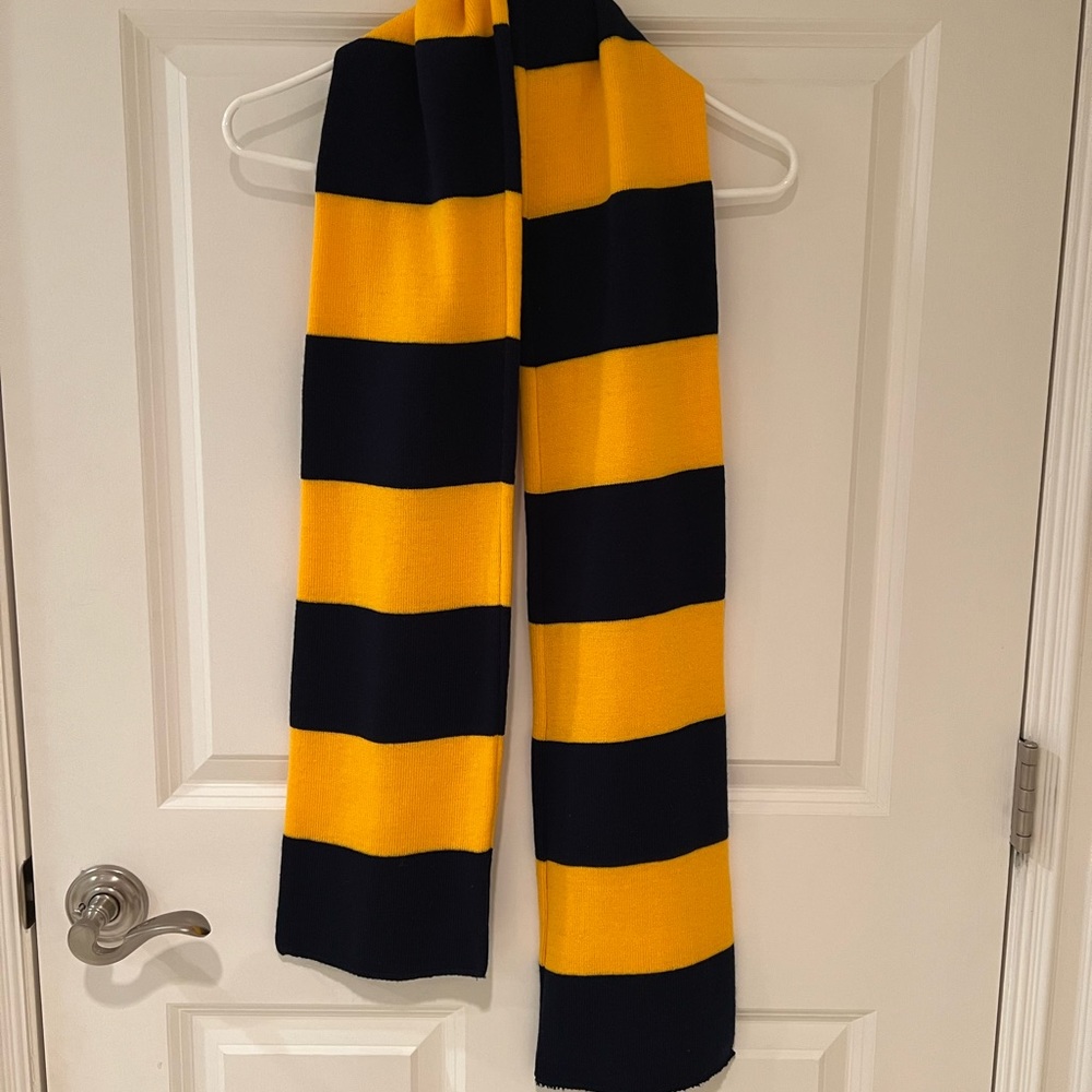 Blue and Gold Striped Knit Scarf